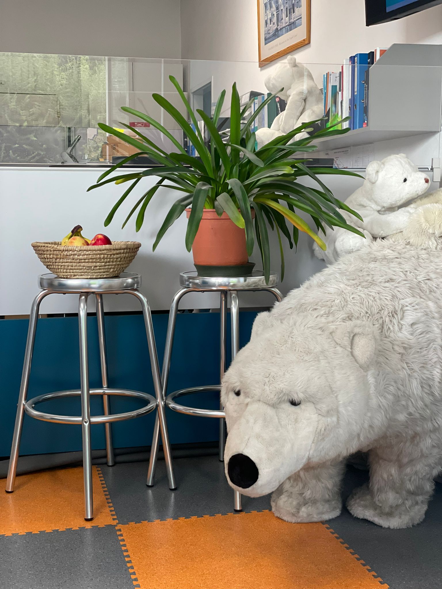 Empfangsbereich mit Pflanzen und Eisbär-Dekoration bei Eisbär Kältetechnik Wien